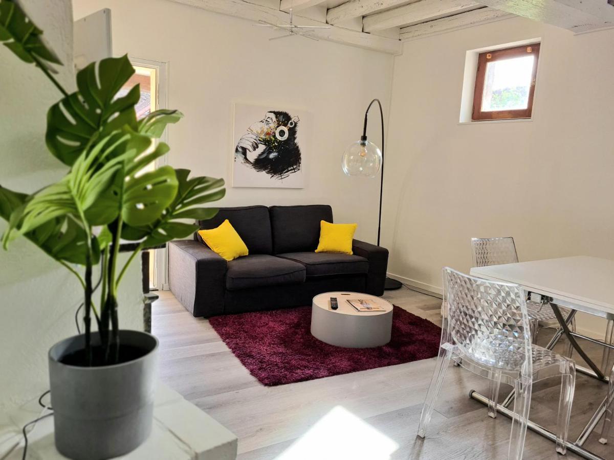 Maison Charme avec Terrasse hypercentre, très calme Joigny Extérieur photo